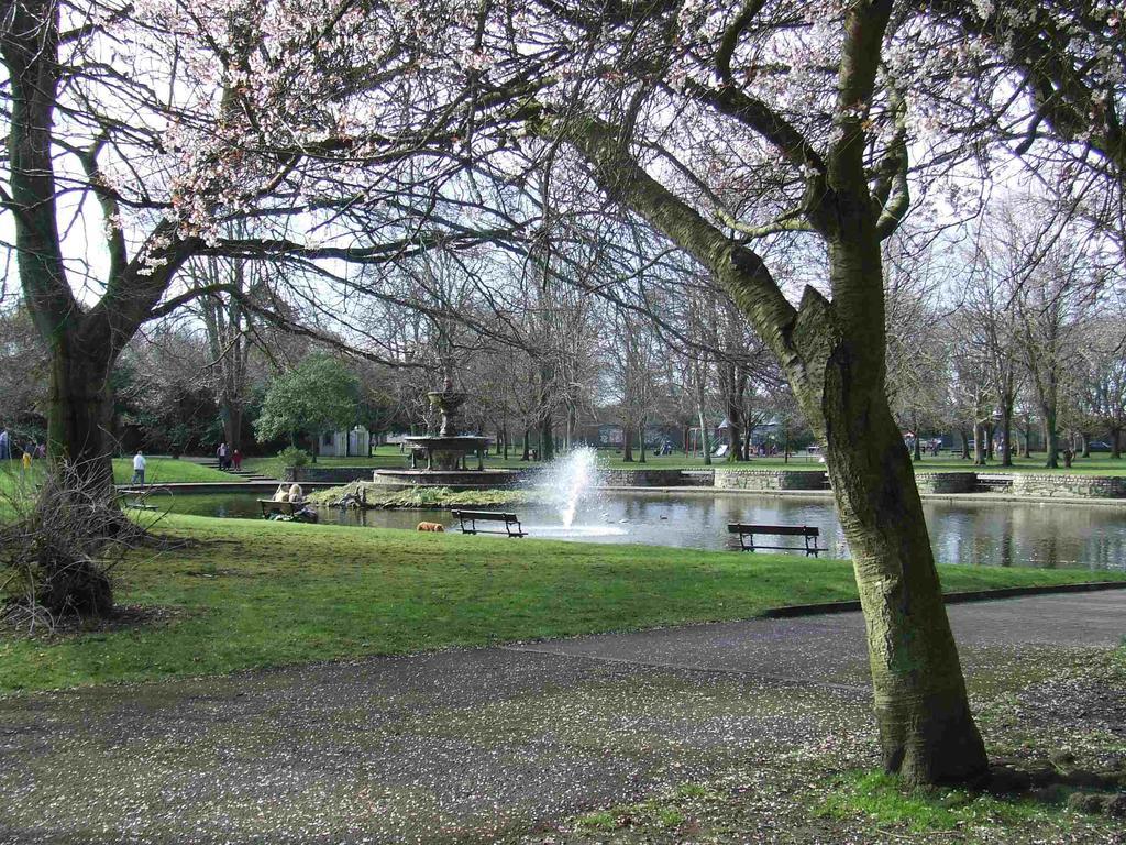 Castlewhite - Ucc Summer Beds Cork Exteriör bild